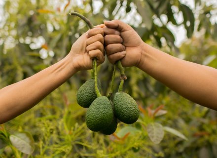 Article splash image