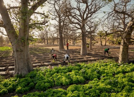 Article splash image