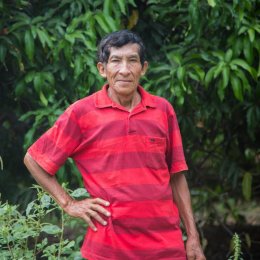 Article splash image