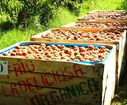 Article splash image