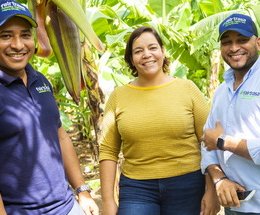 Article splash image