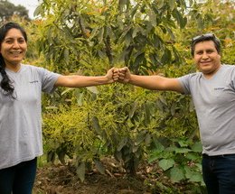 Article splash image