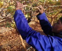 Article splash image