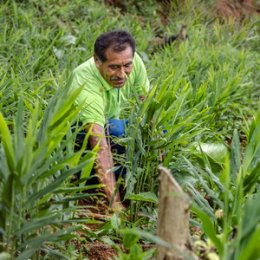 Article splash image