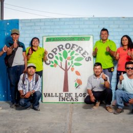 Article splash image