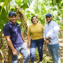 Article splash image