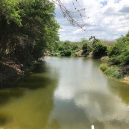 Article splash image