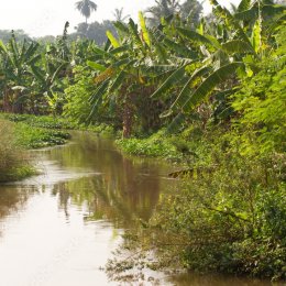 Article splash image