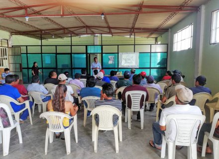 Article splash image